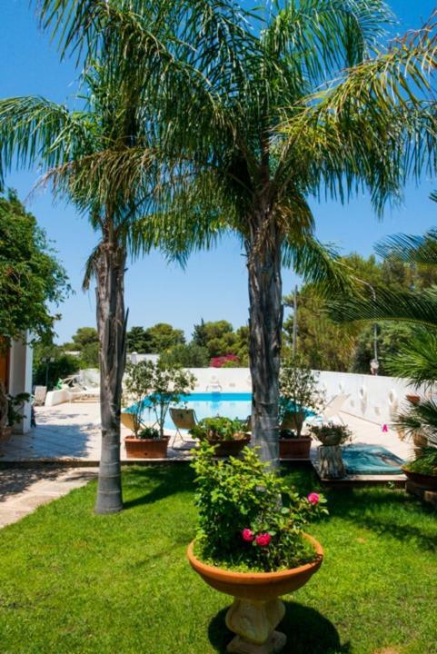 Villa Cancelliere San Vito Lo Capo Exteriér fotografie